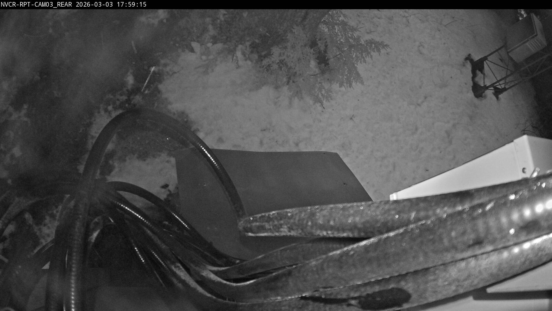 Web Cam History Image - 174