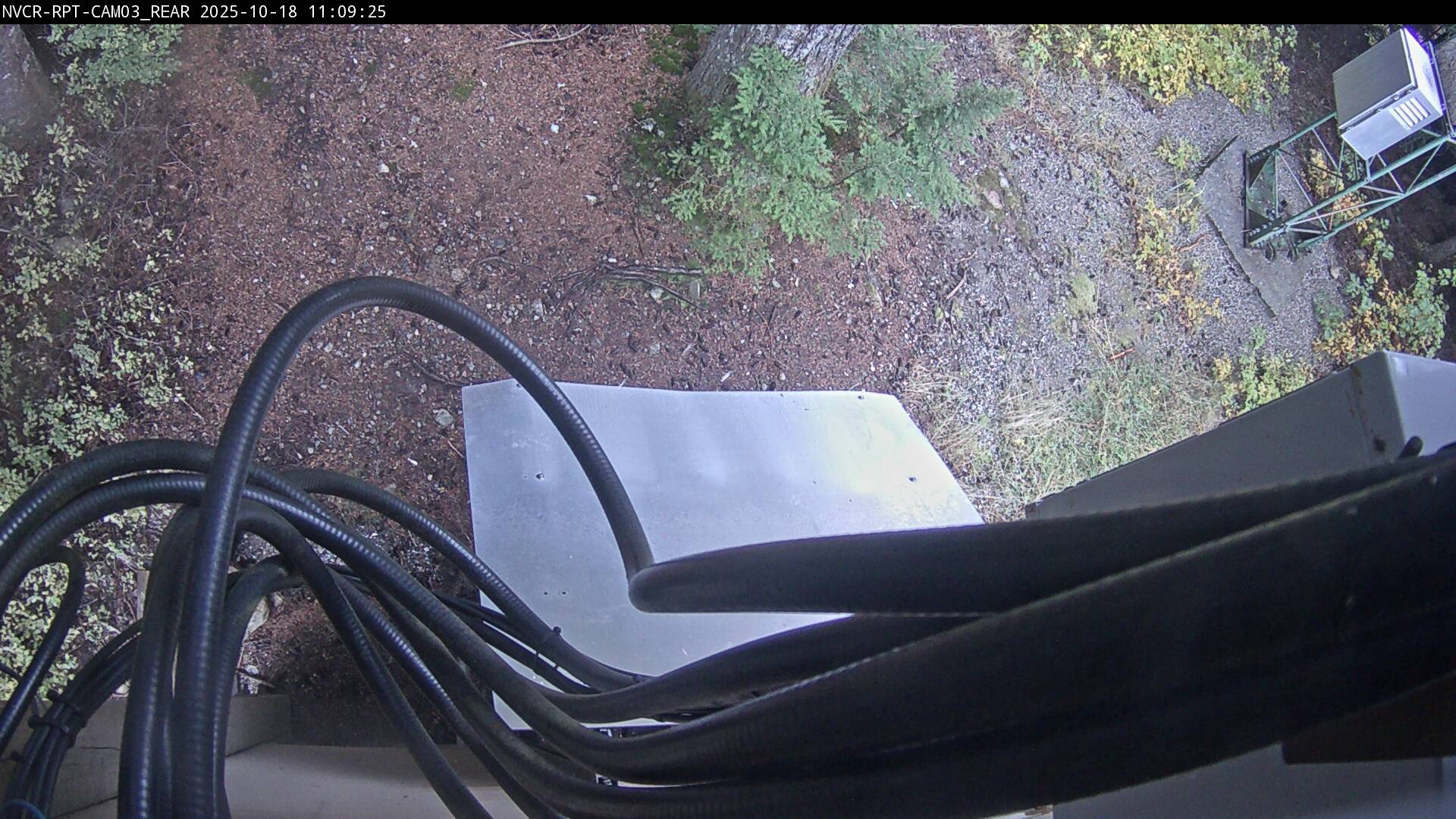 Web Cam History Image - 175