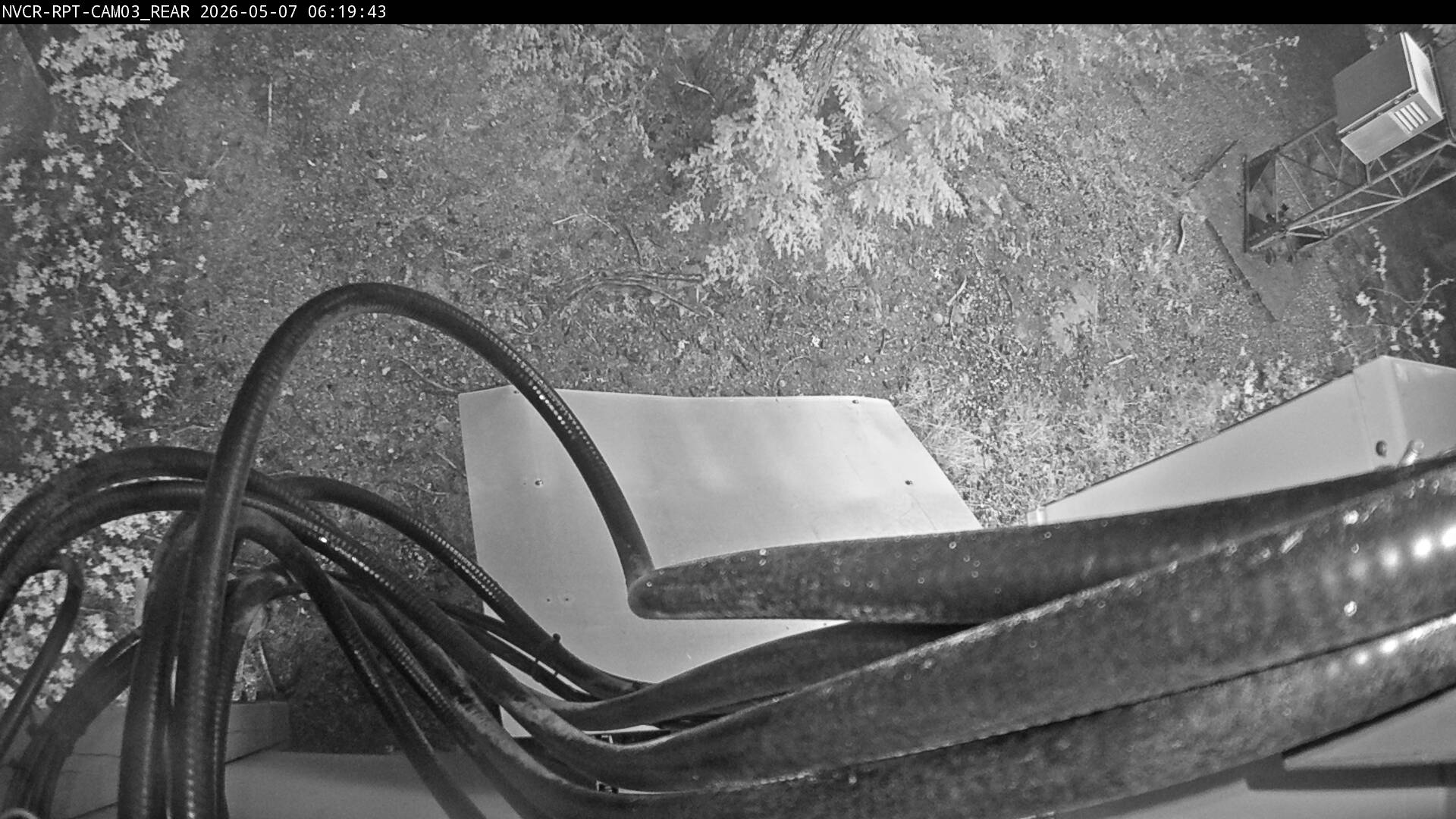 Web Cam History Image - 175