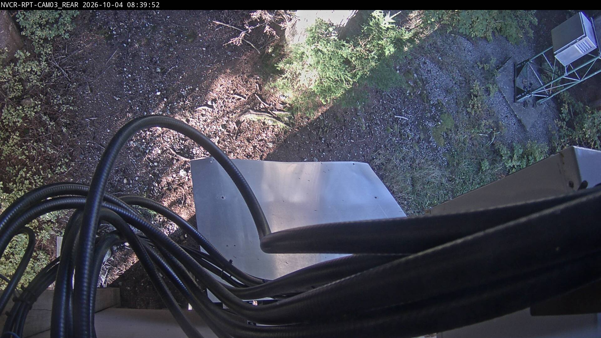 Web Cam History Image - 175