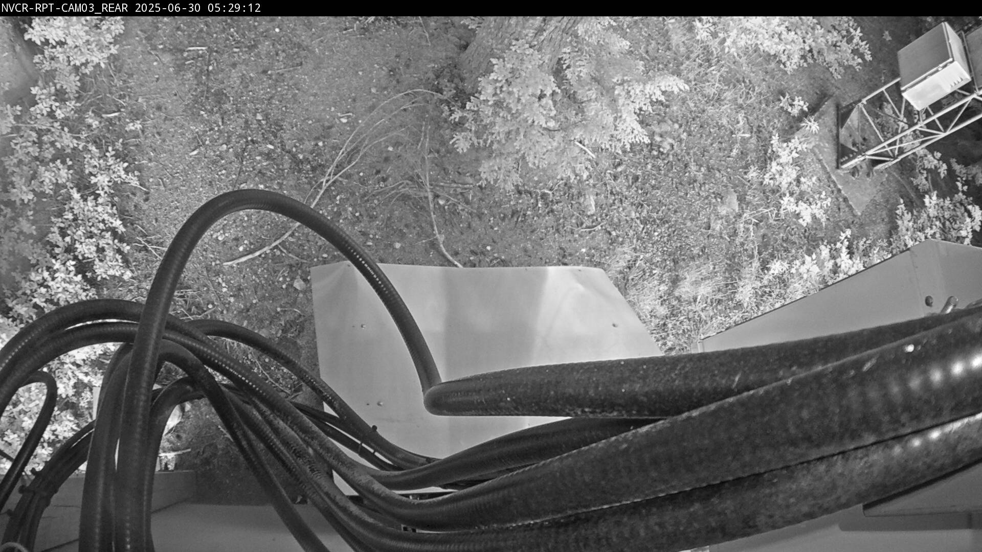 Web Cam History Image - 176