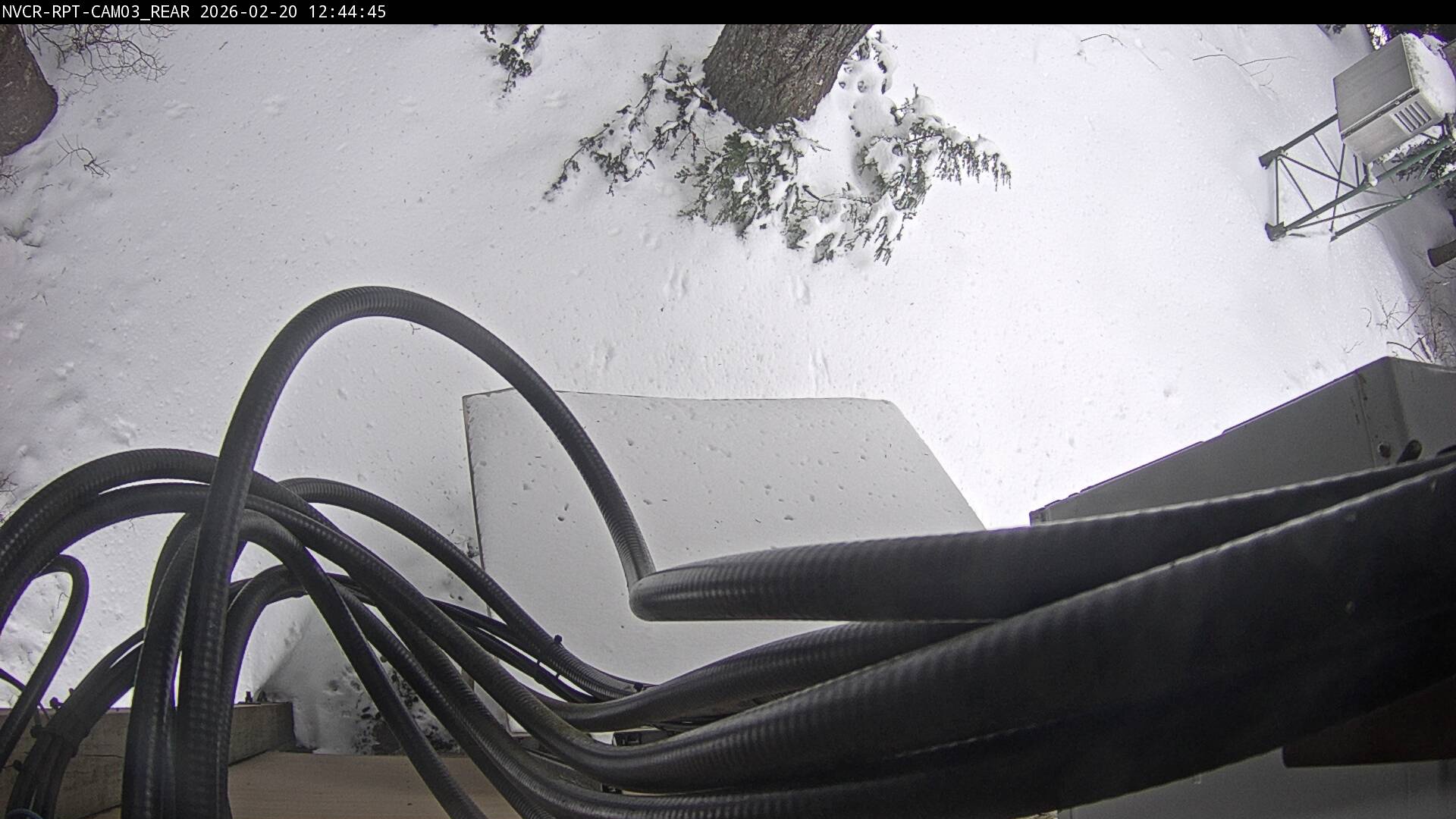 Web Cam History Image - 178