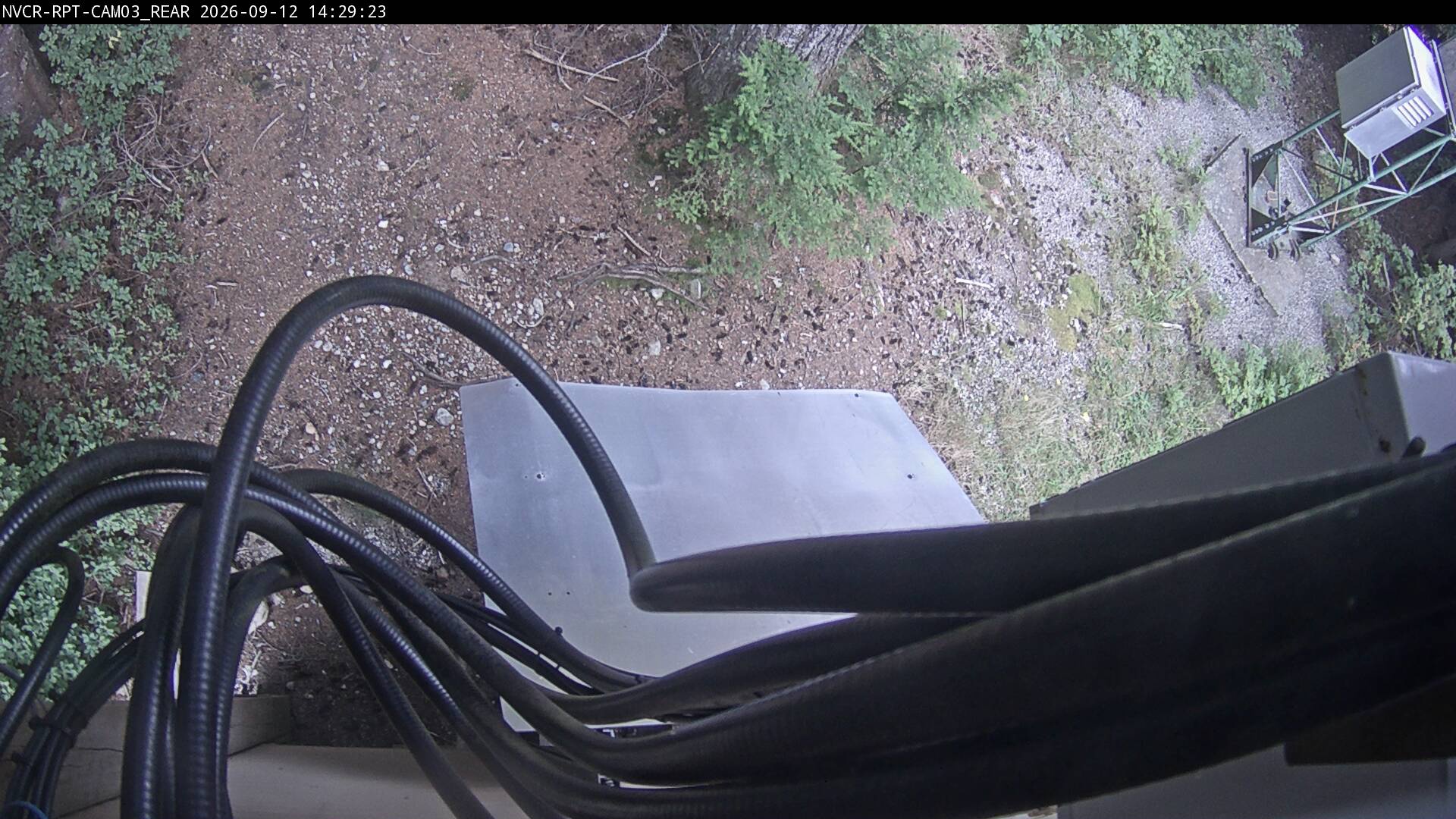 Web Cam History Image - 178