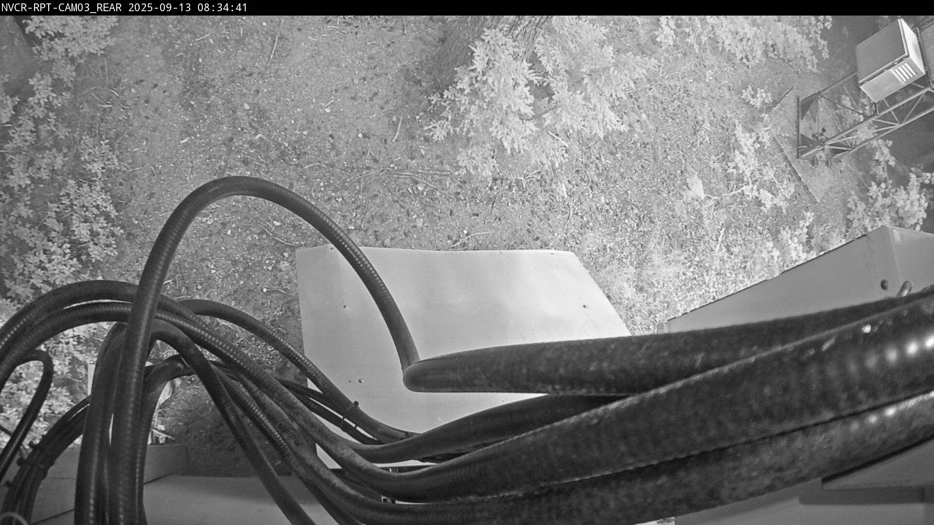 Web Cam History Image - 180