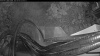 Web Cam Image - Sun, 08/09/2026 8:04pm PDT