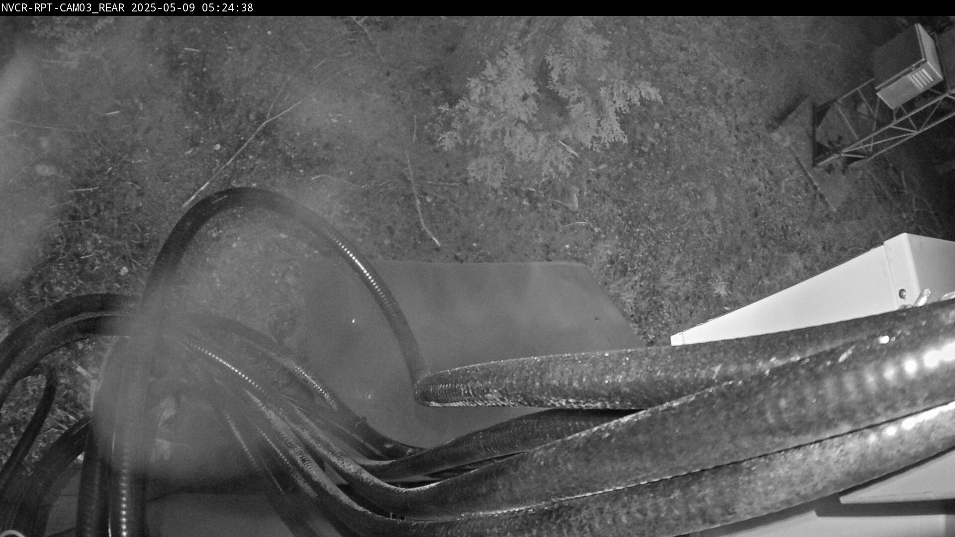 Web Cam History Image - 19