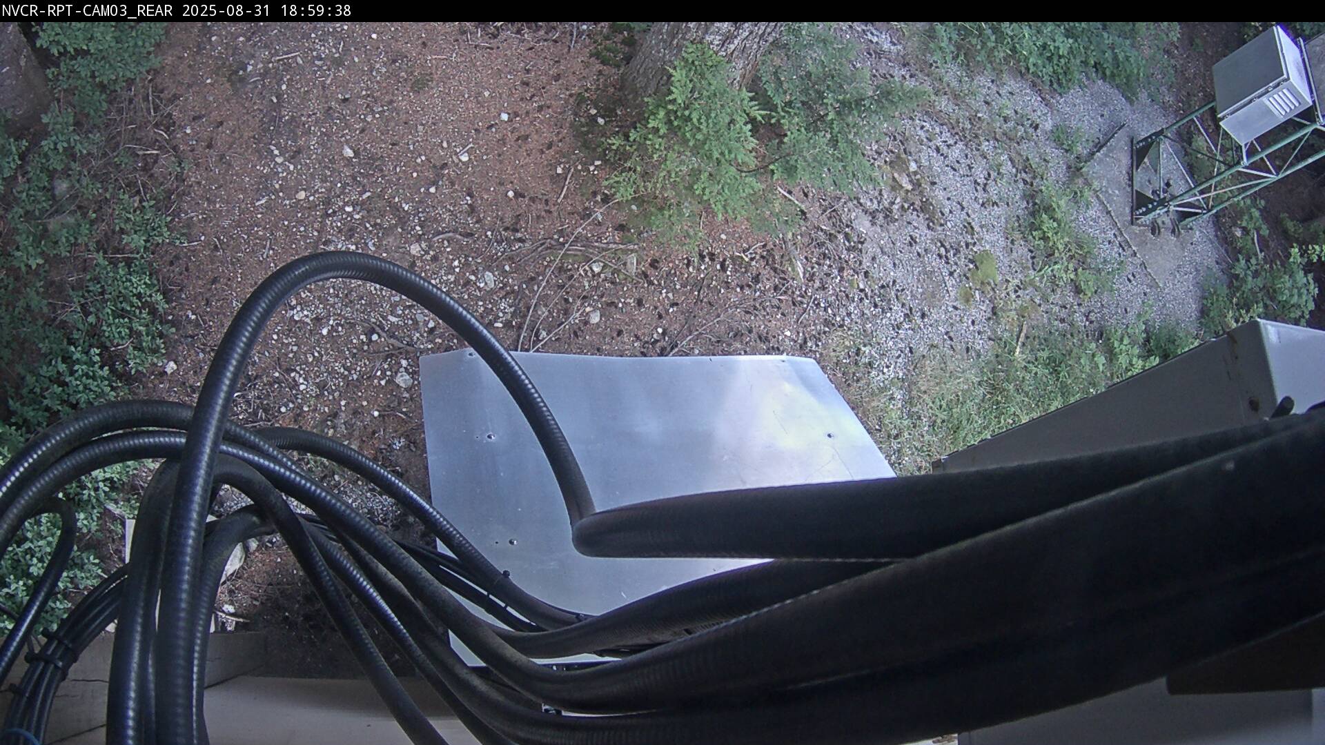 Web Cam History Image - 19