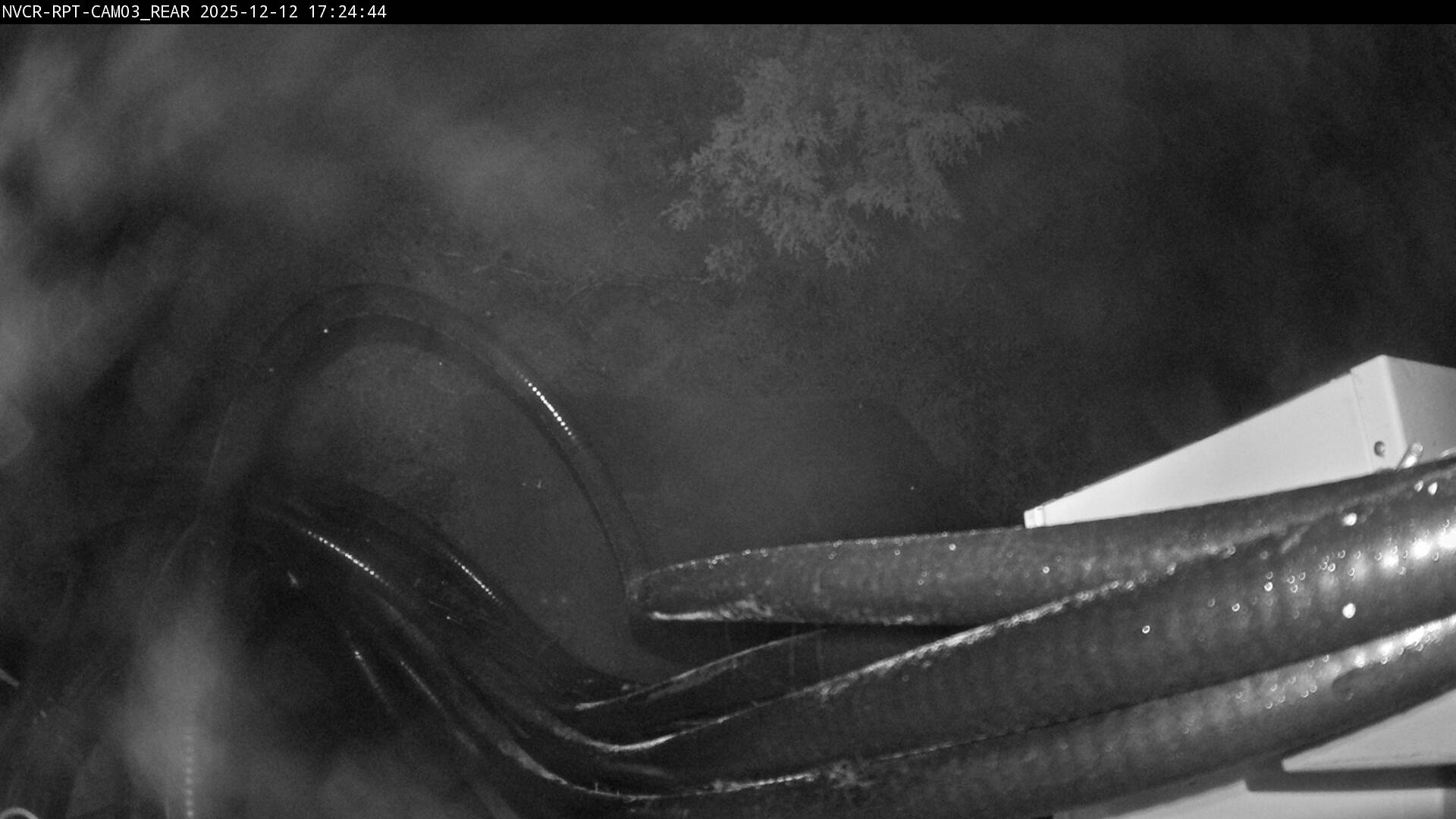 Web Cam History Image - 19