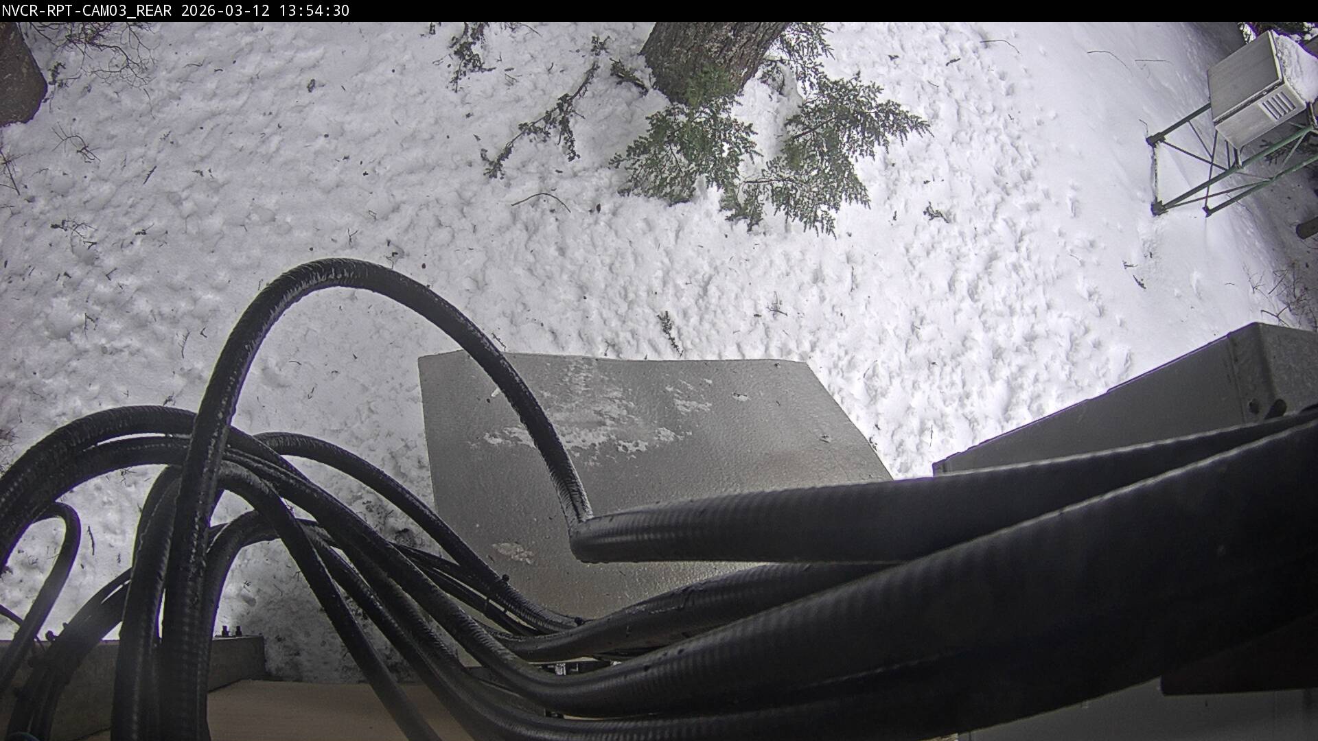 Web Cam History Image - 19