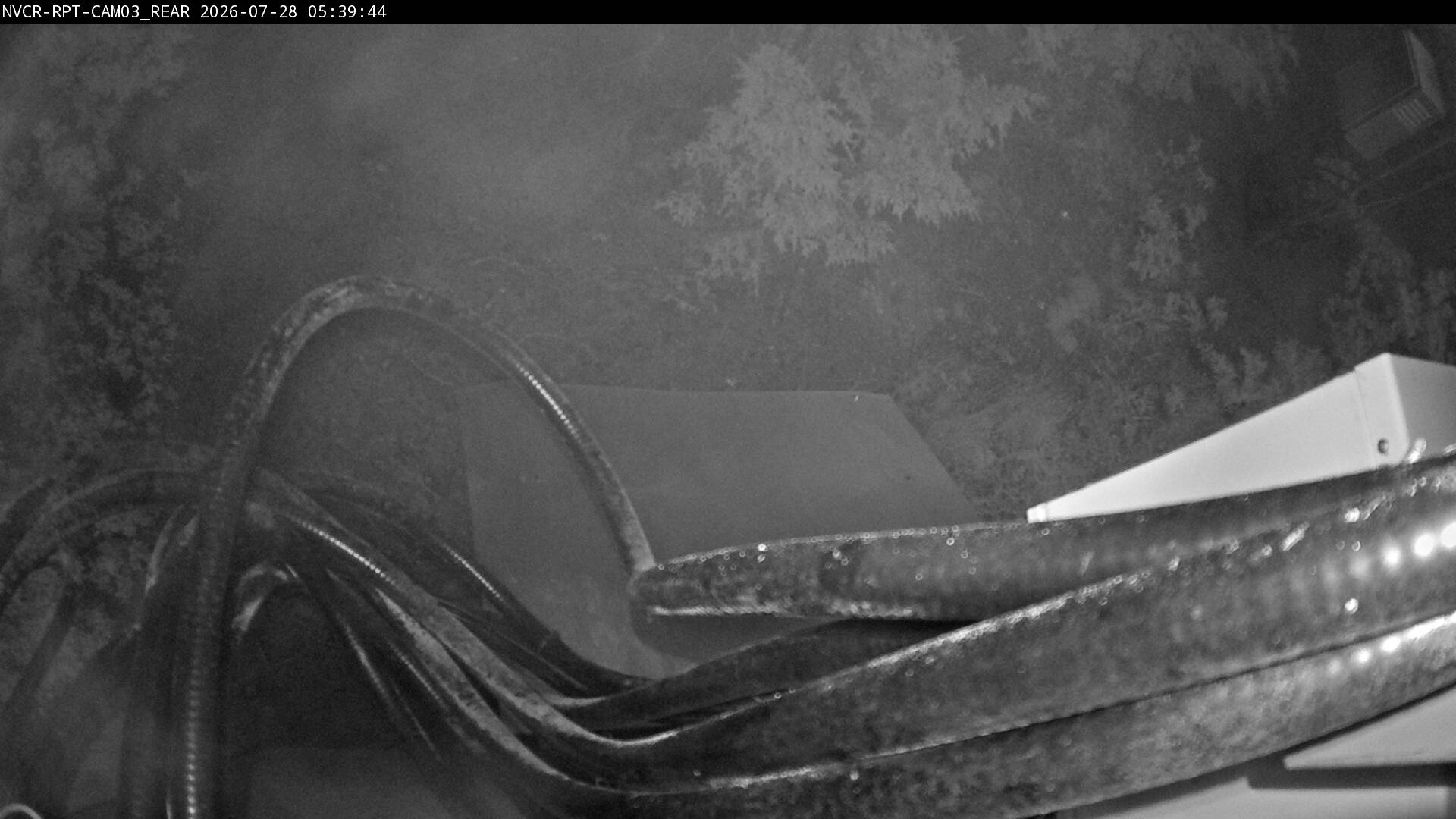 Web Cam History Image - 19