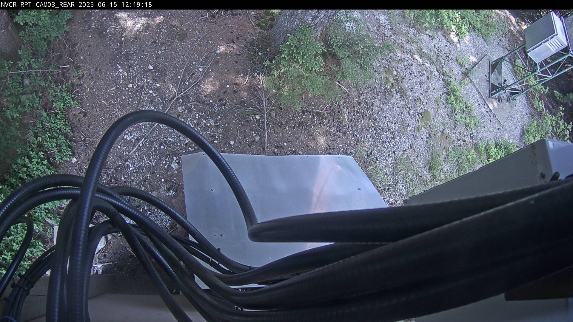 Web Cam History Image - 181