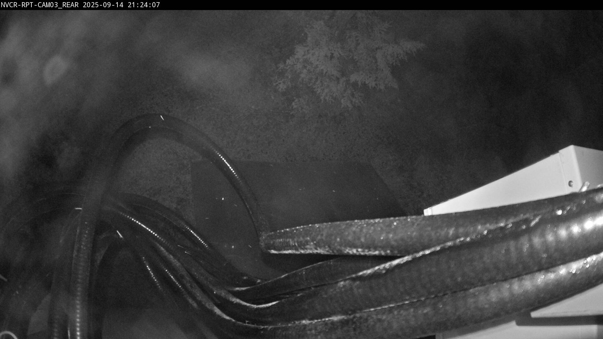 Web Cam History Image - 181