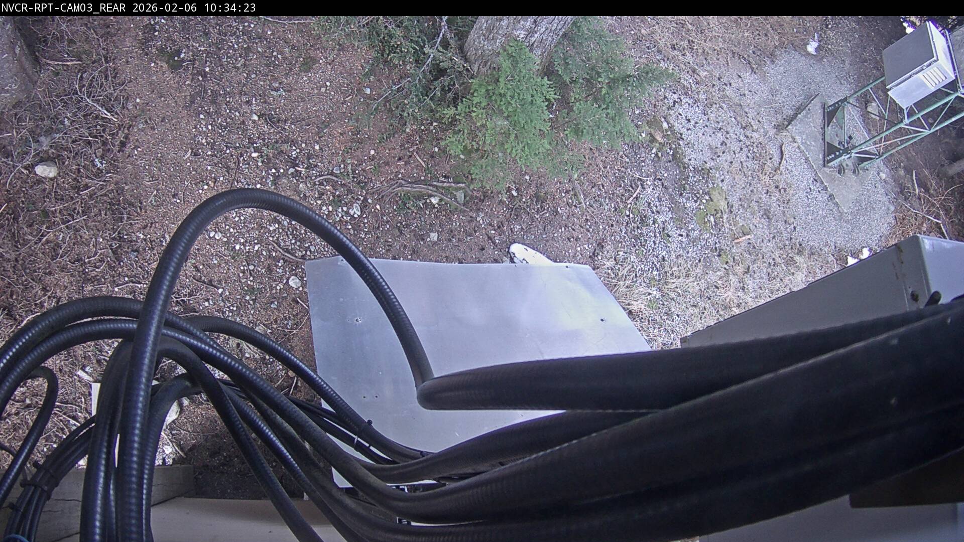 Web Cam History Image - 183