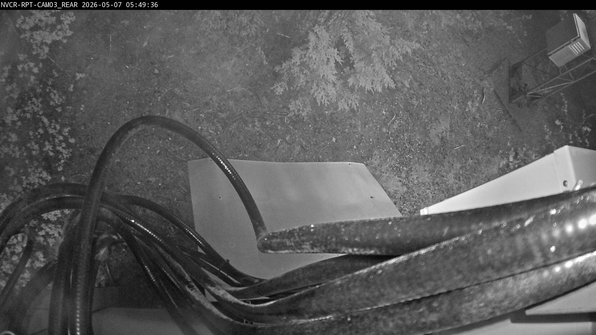 Web Cam History Image - 184