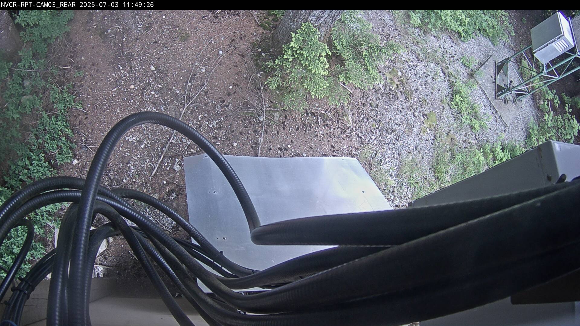 Web Cam History Image - 185
