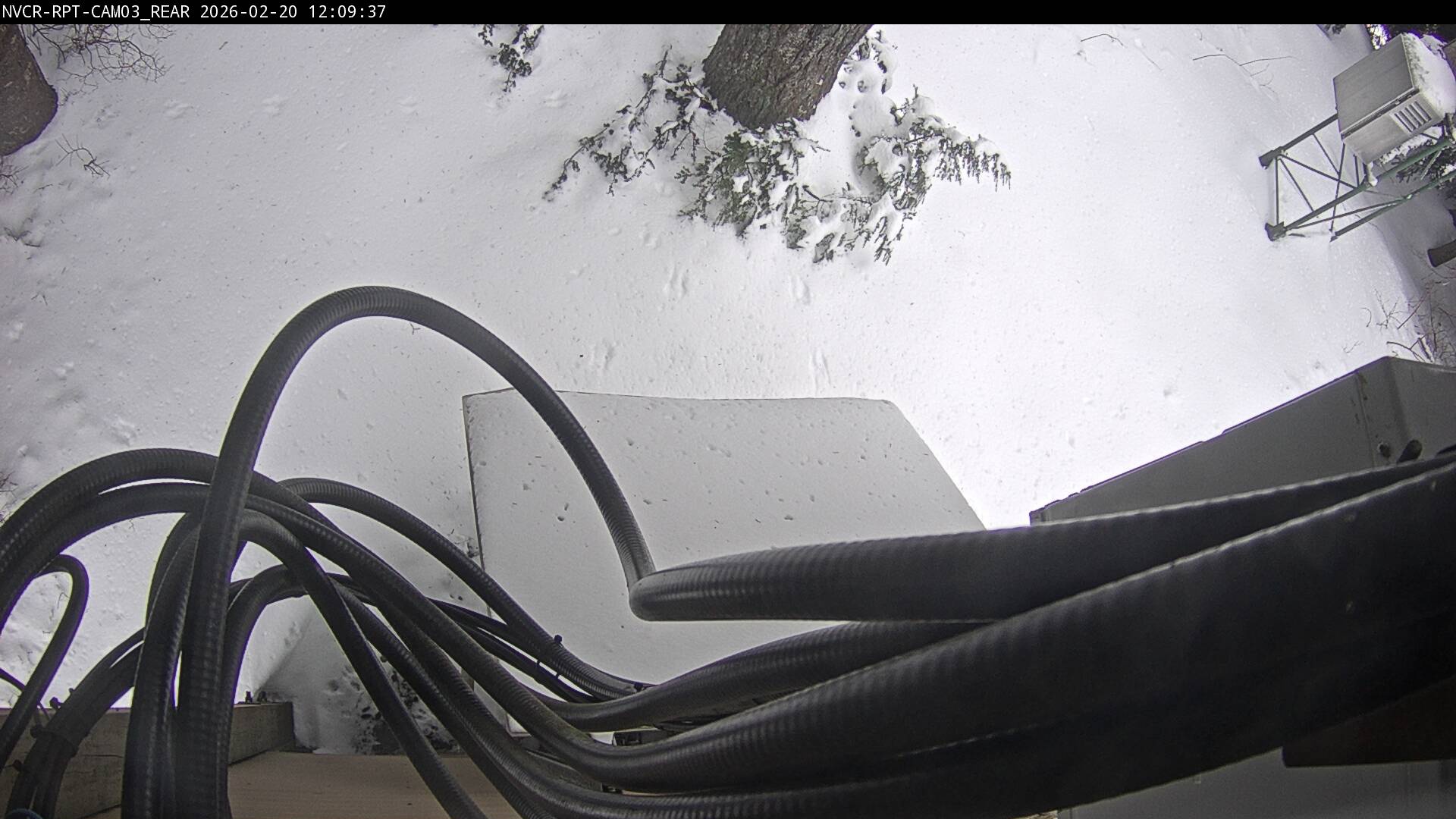 Web Cam History Image - 185