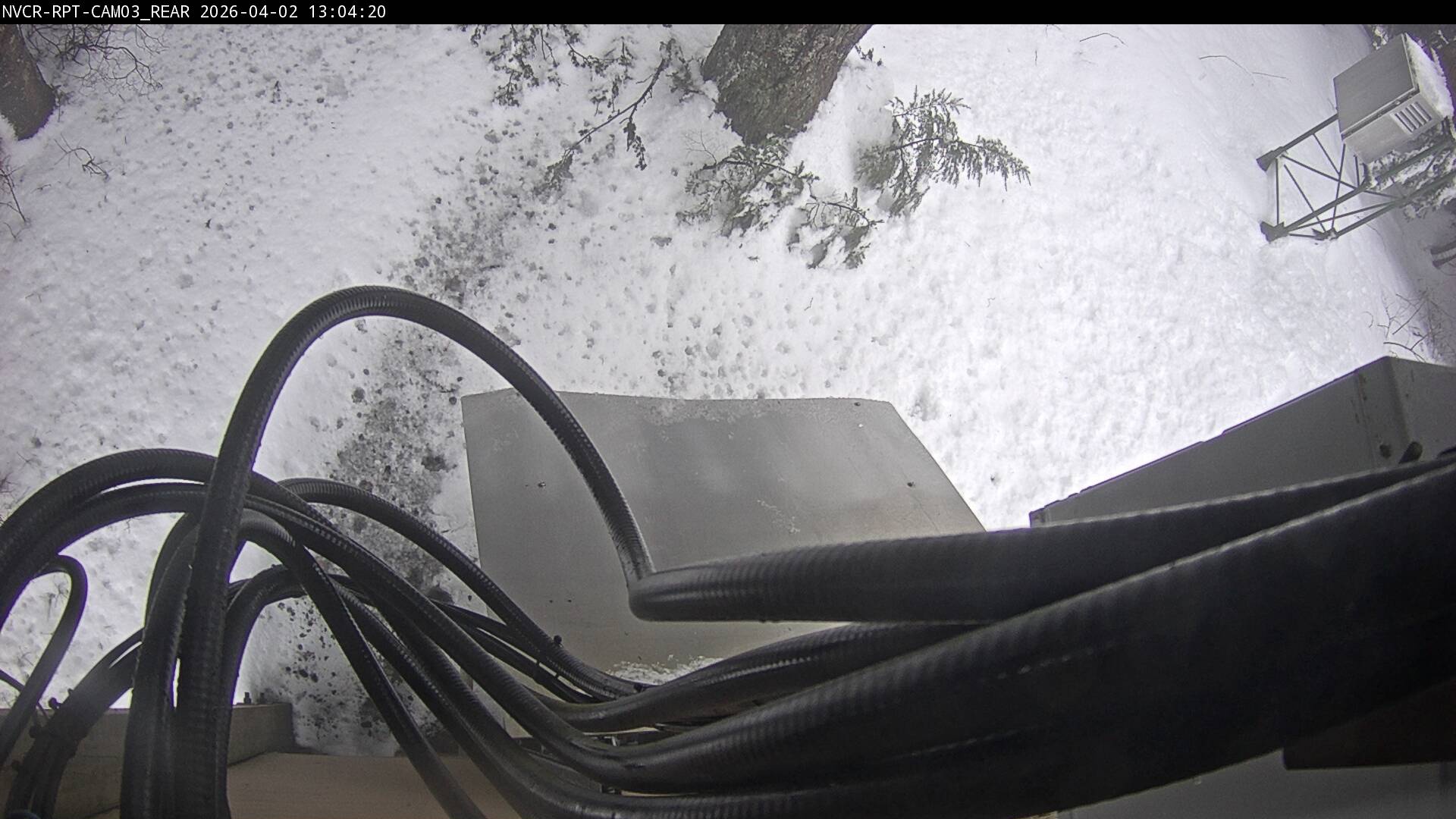 Web Cam History Image - 185