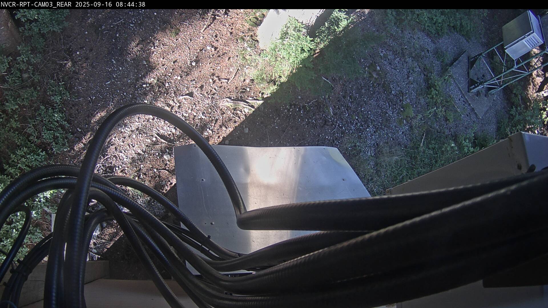 Web Cam History Image - 186