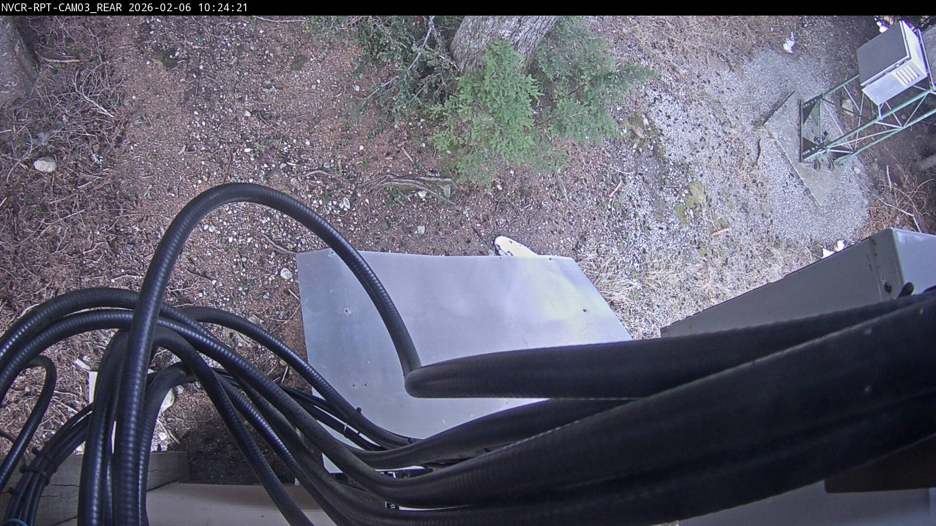 Web Cam History Image - 186