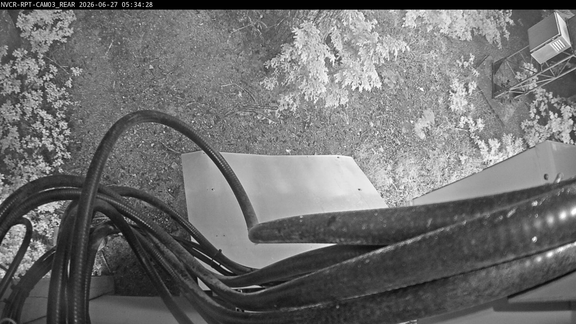 Web Cam History Image - 187