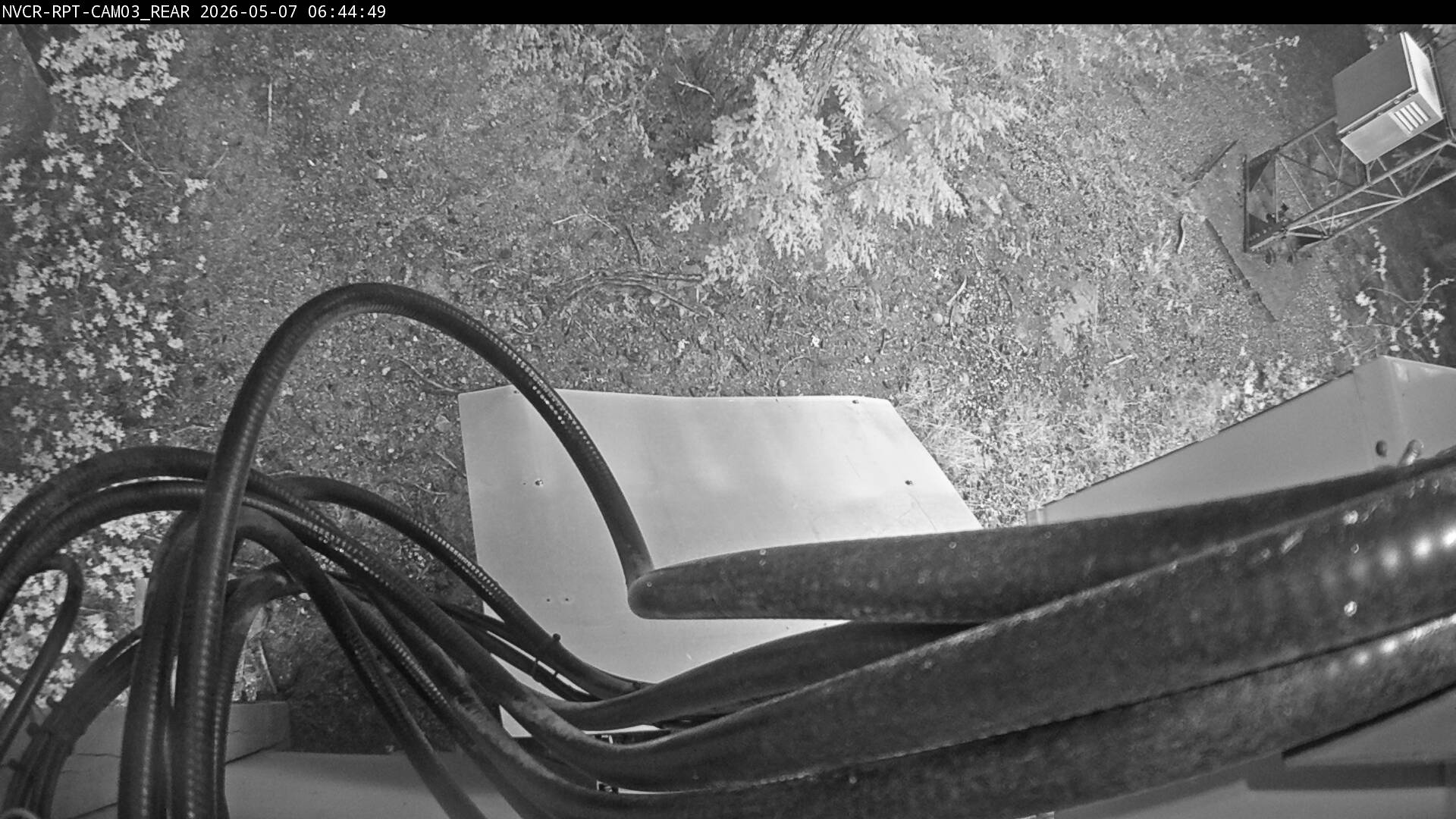 Web Cam History Image - 189
