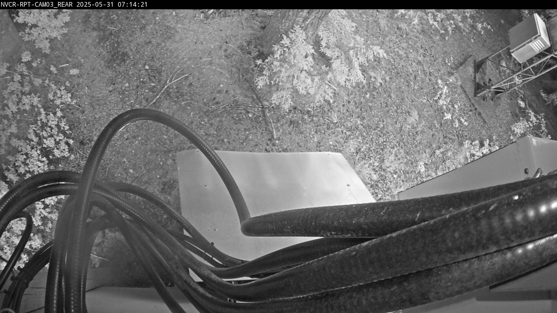 Web Cam History Image - 190