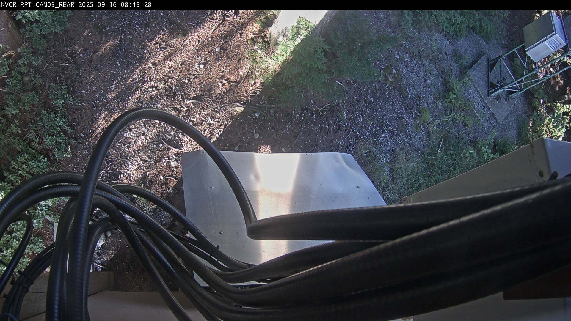 Web Cam History Image - 190