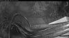 Web Cam Image - Sat, 08/01/2026 4:49am PDT