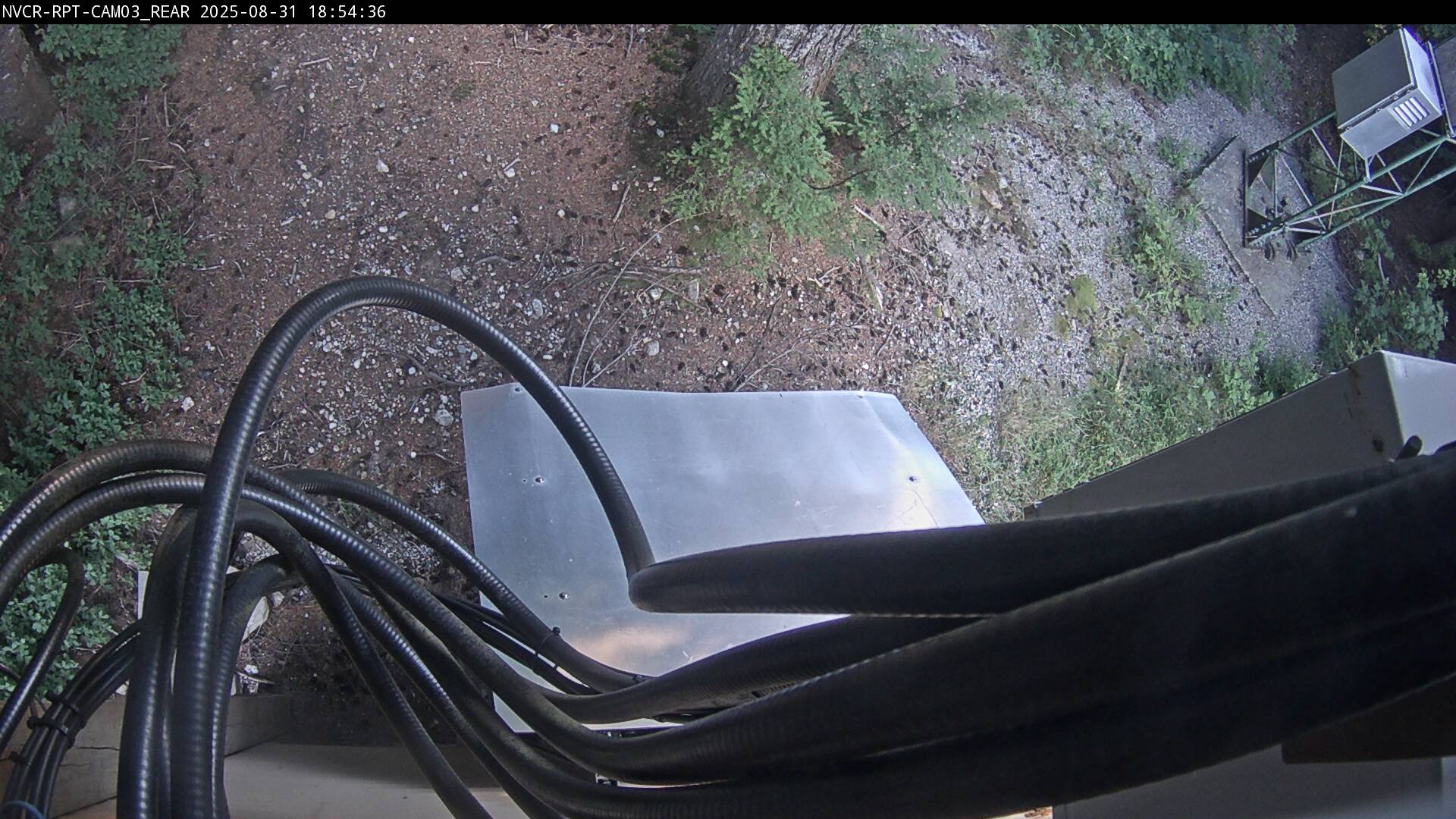 Web Cam History Image - 20