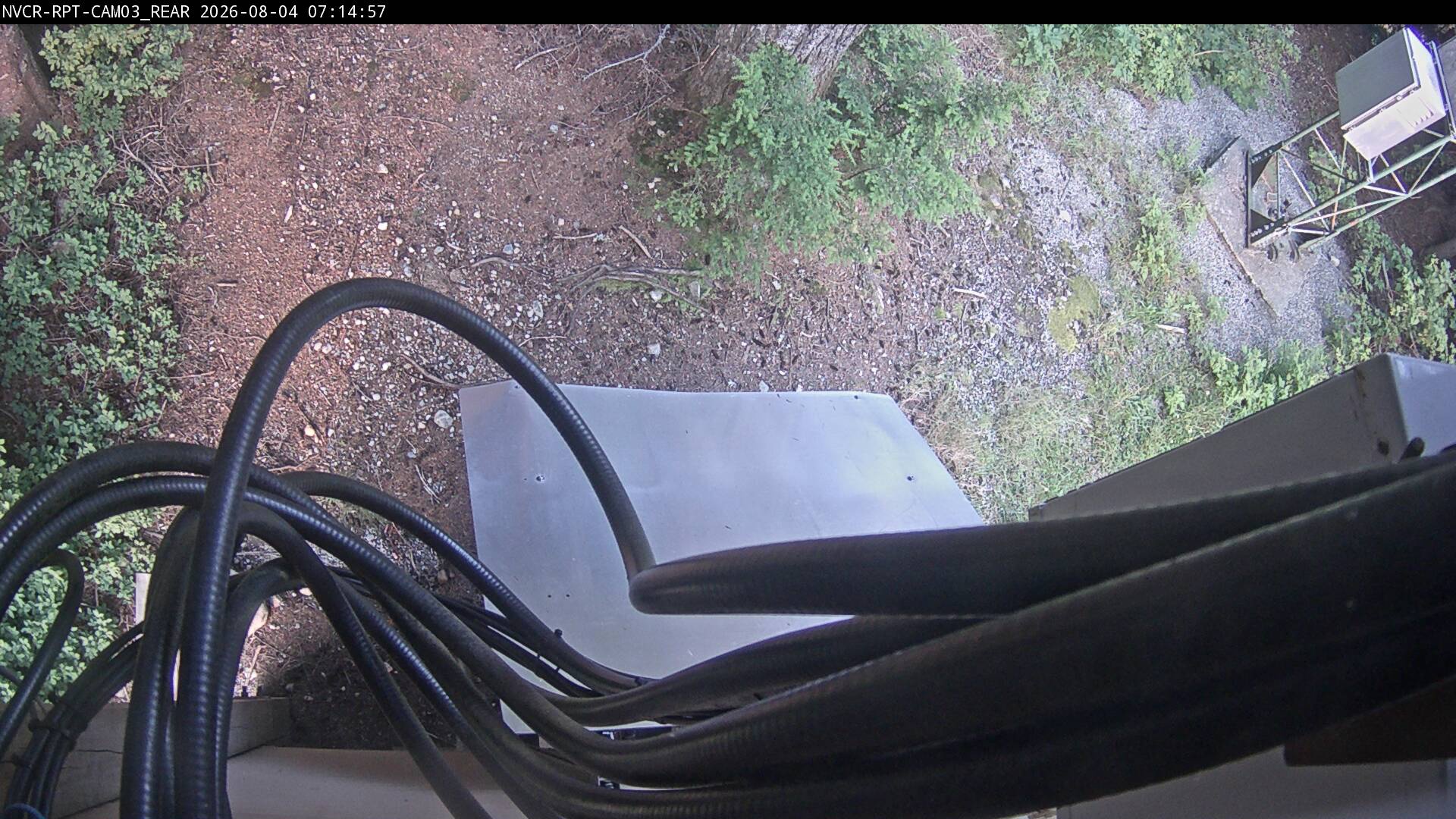 Web Cam History Image - 20