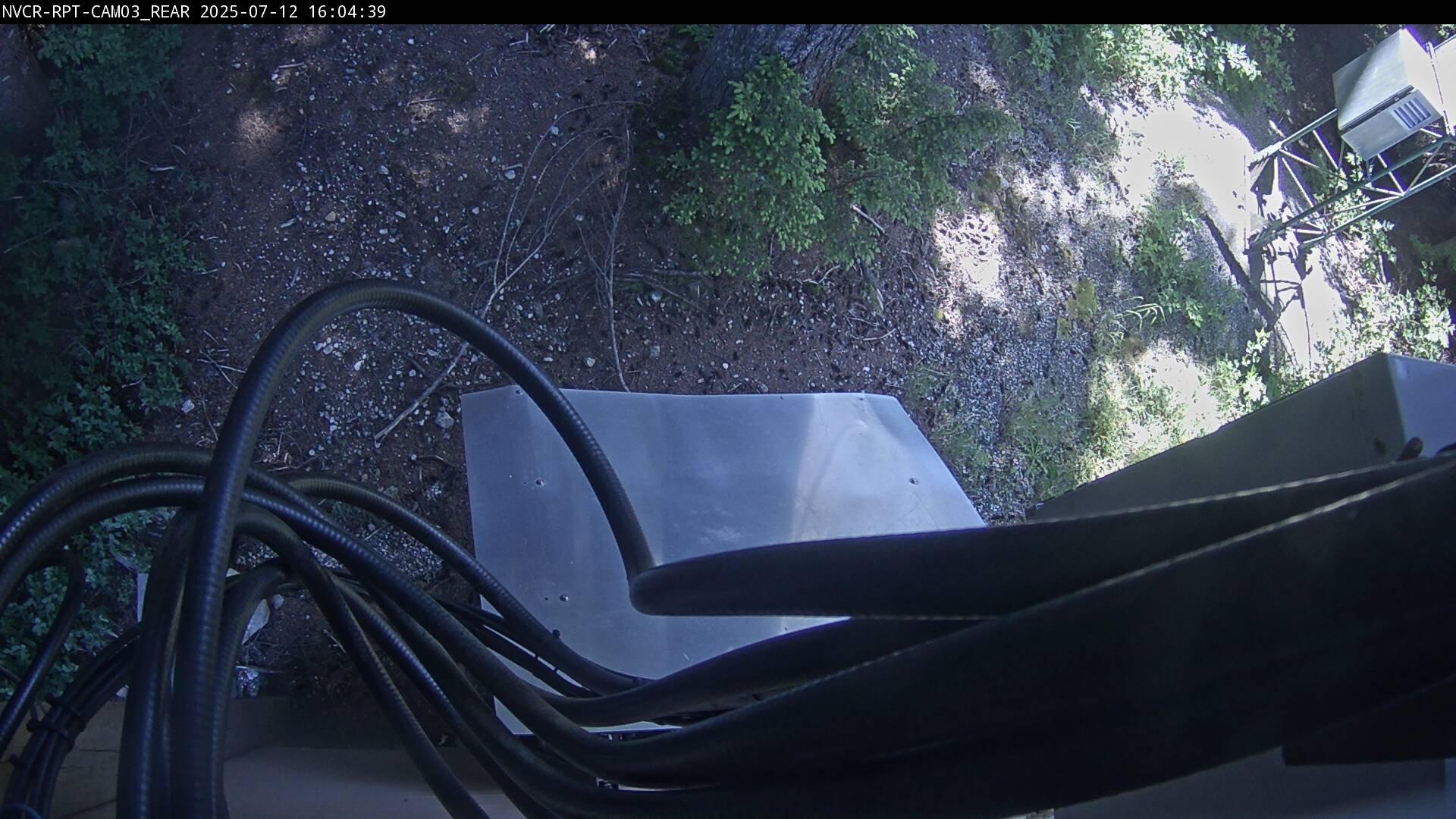 Web Cam History Image - 191