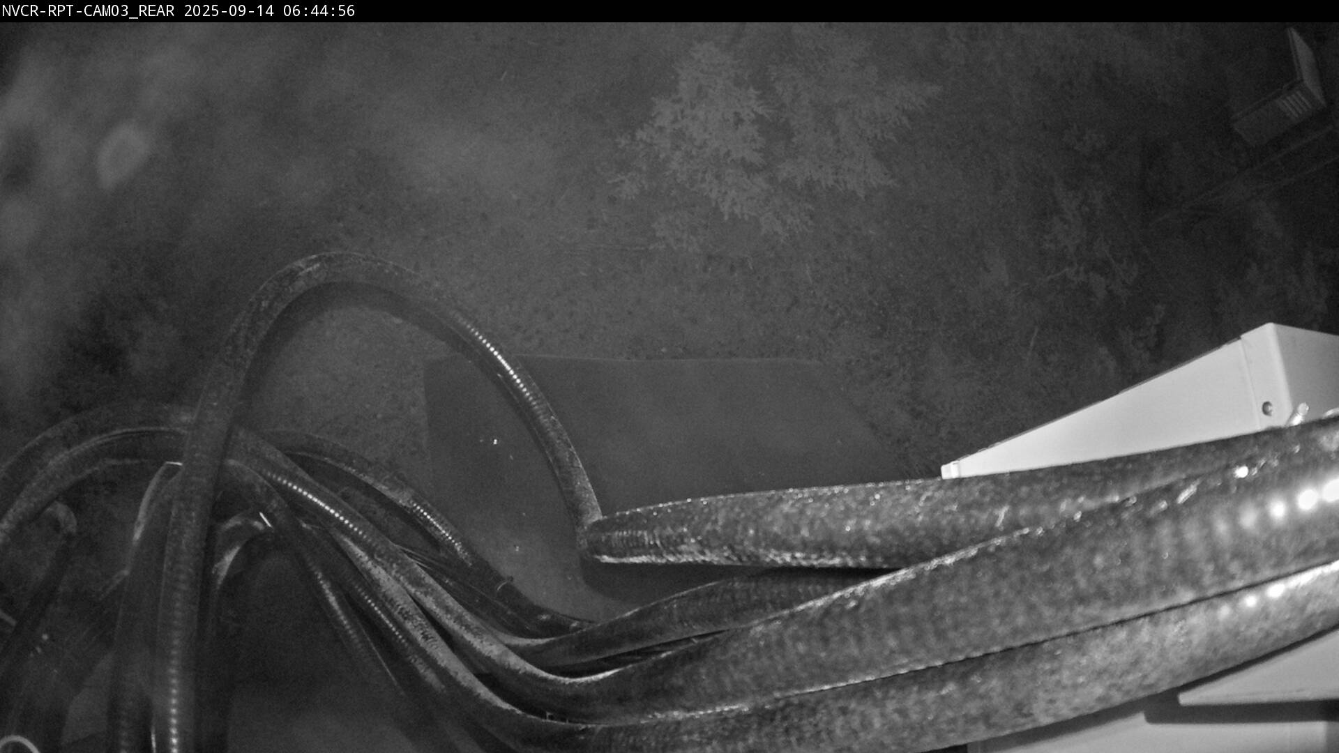 Web Cam History Image - 191