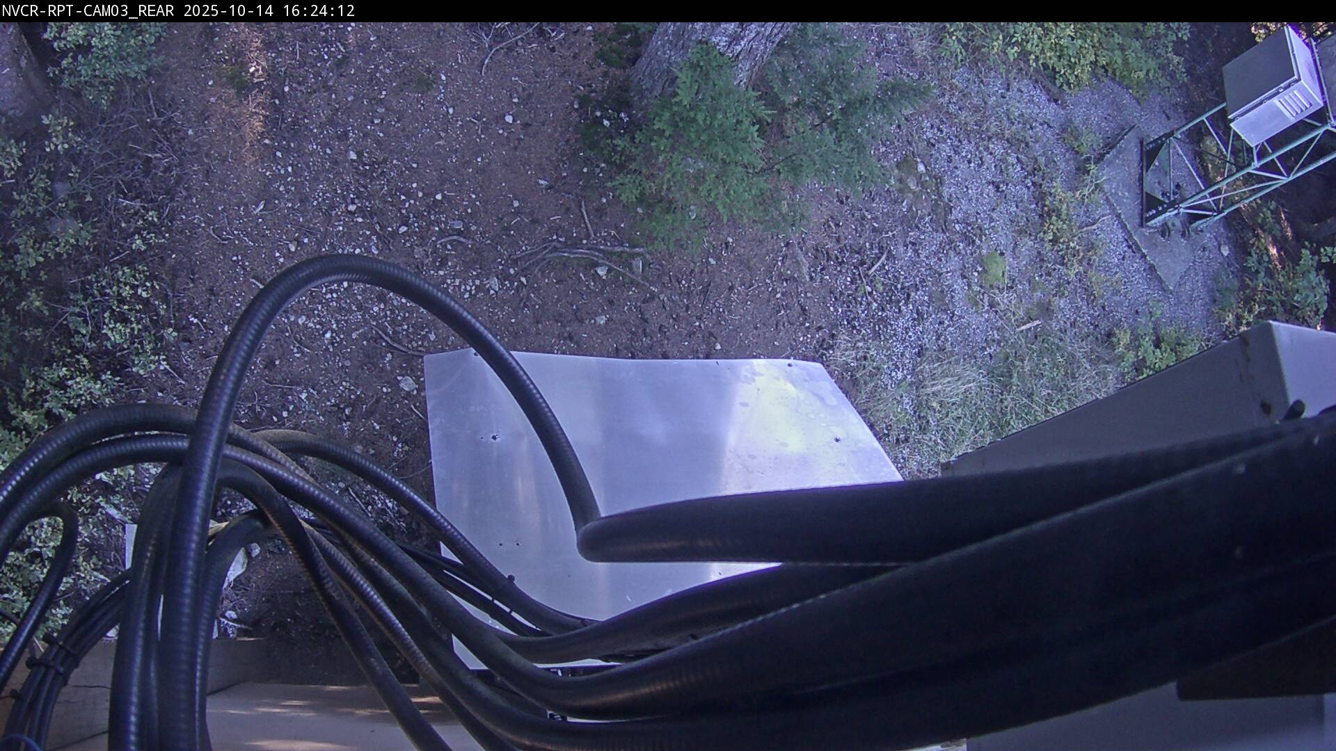 Web Cam History Image - 191