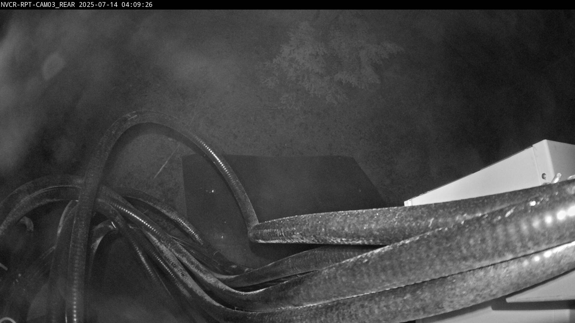 Web Cam History Image - 192