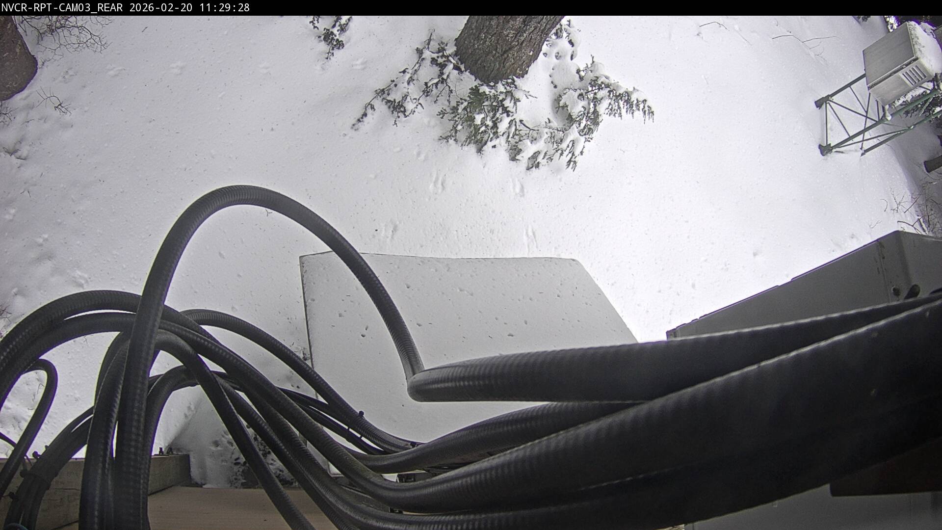 Web Cam History Image - 192