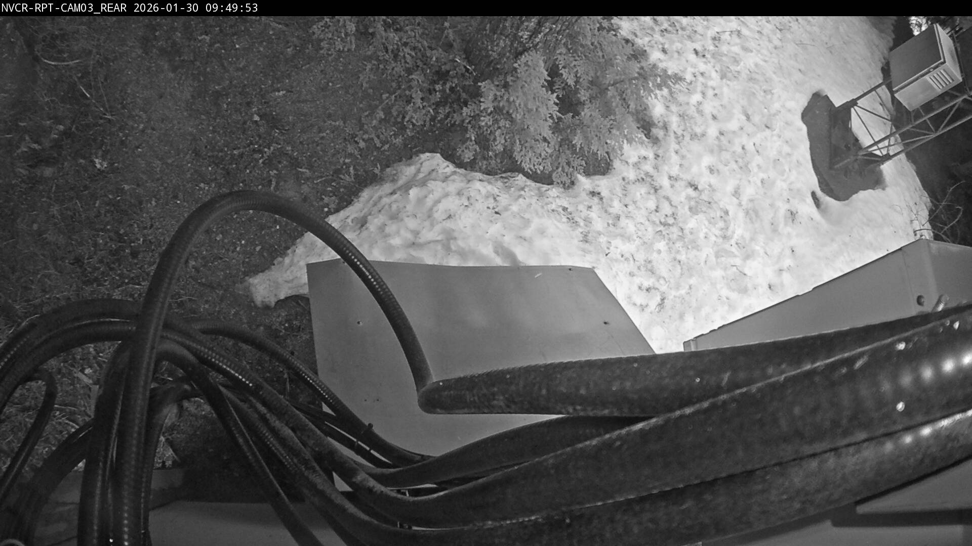 Web Cam History Image - 196