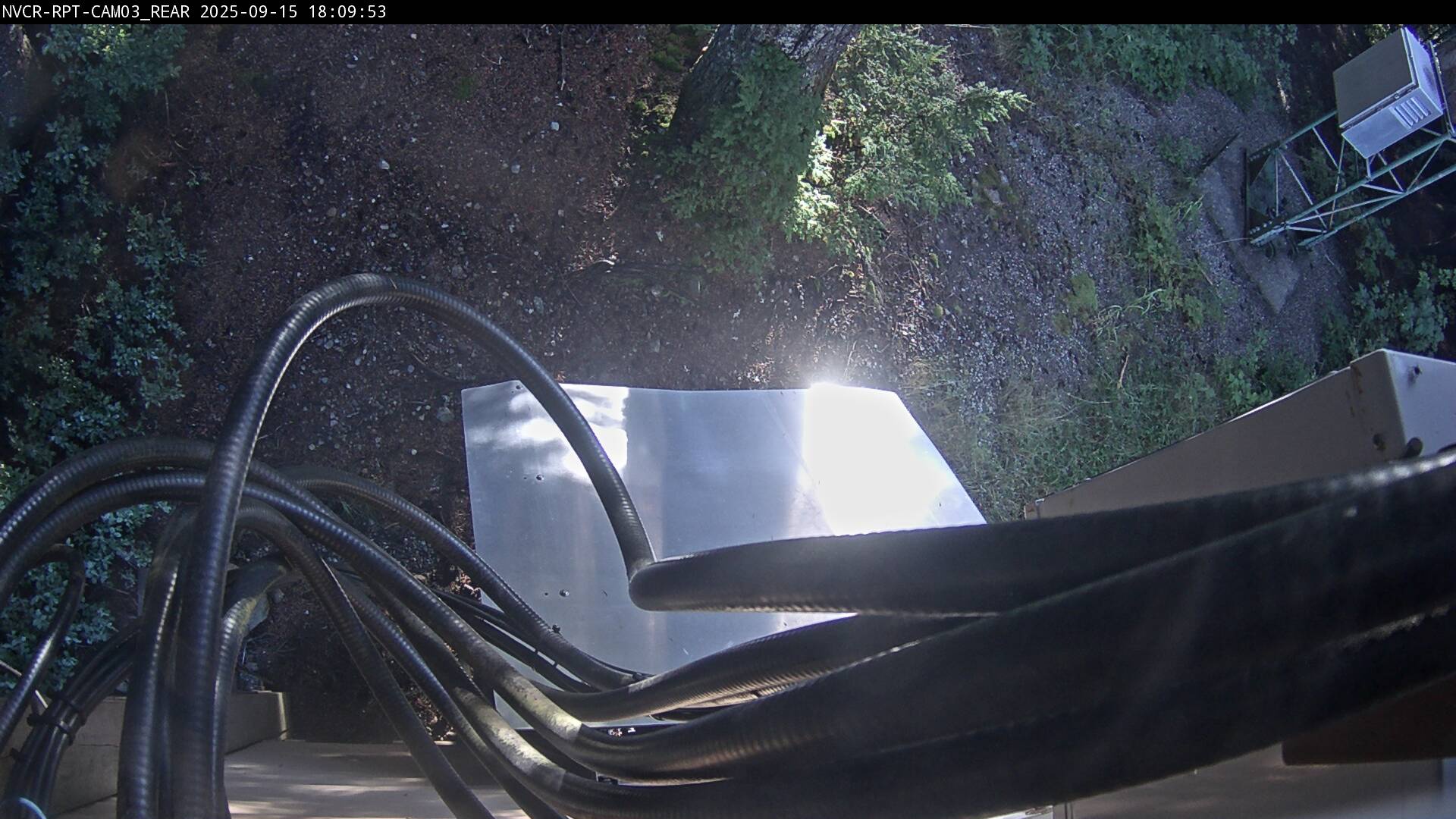 Web Cam History Image - 197