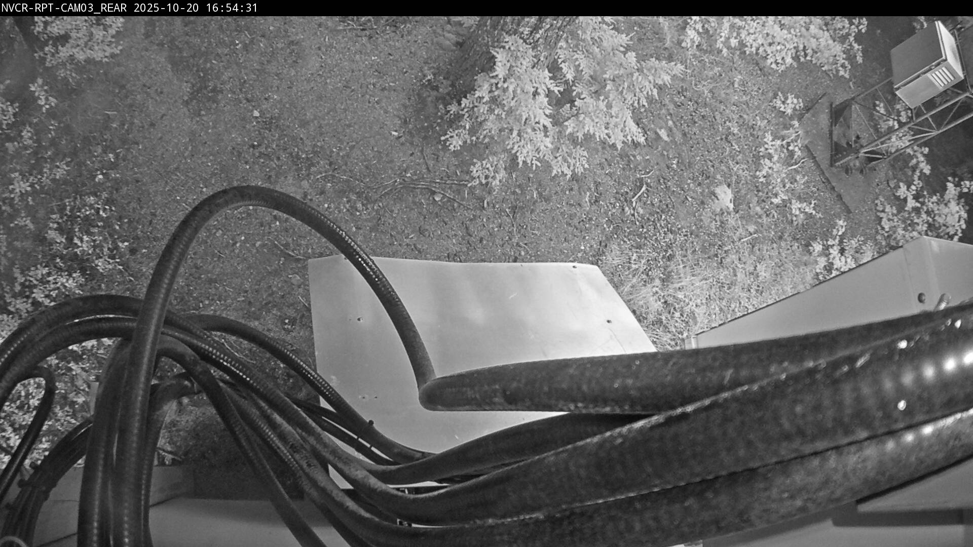Web Cam History Image - 197