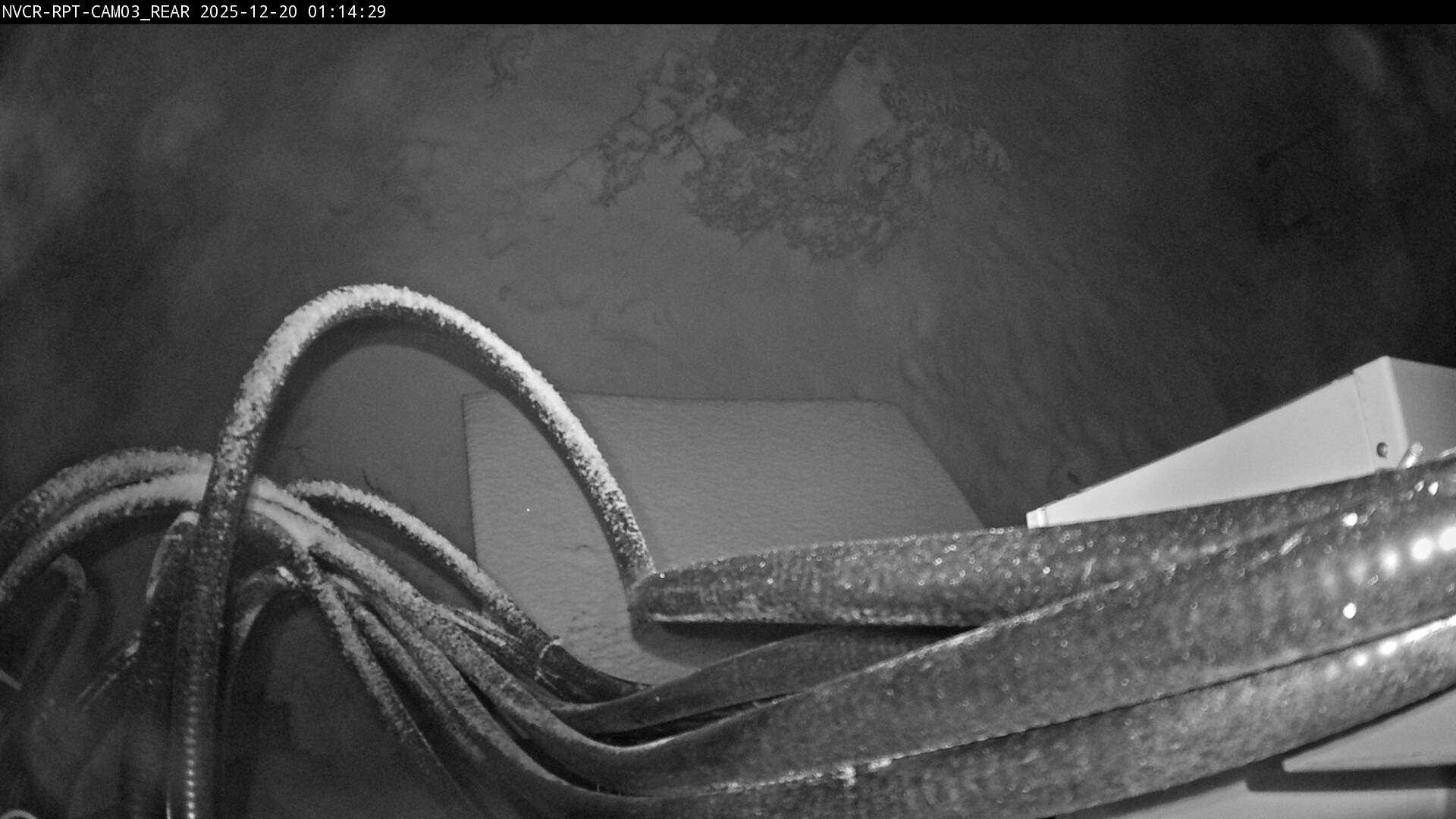 Web Cam History Image - 197