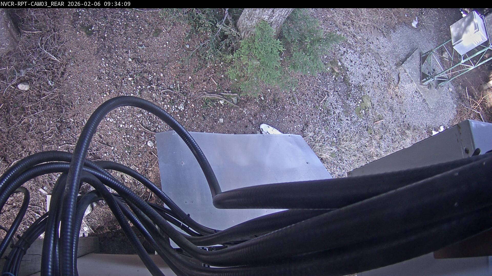 Web Cam History Image - 197