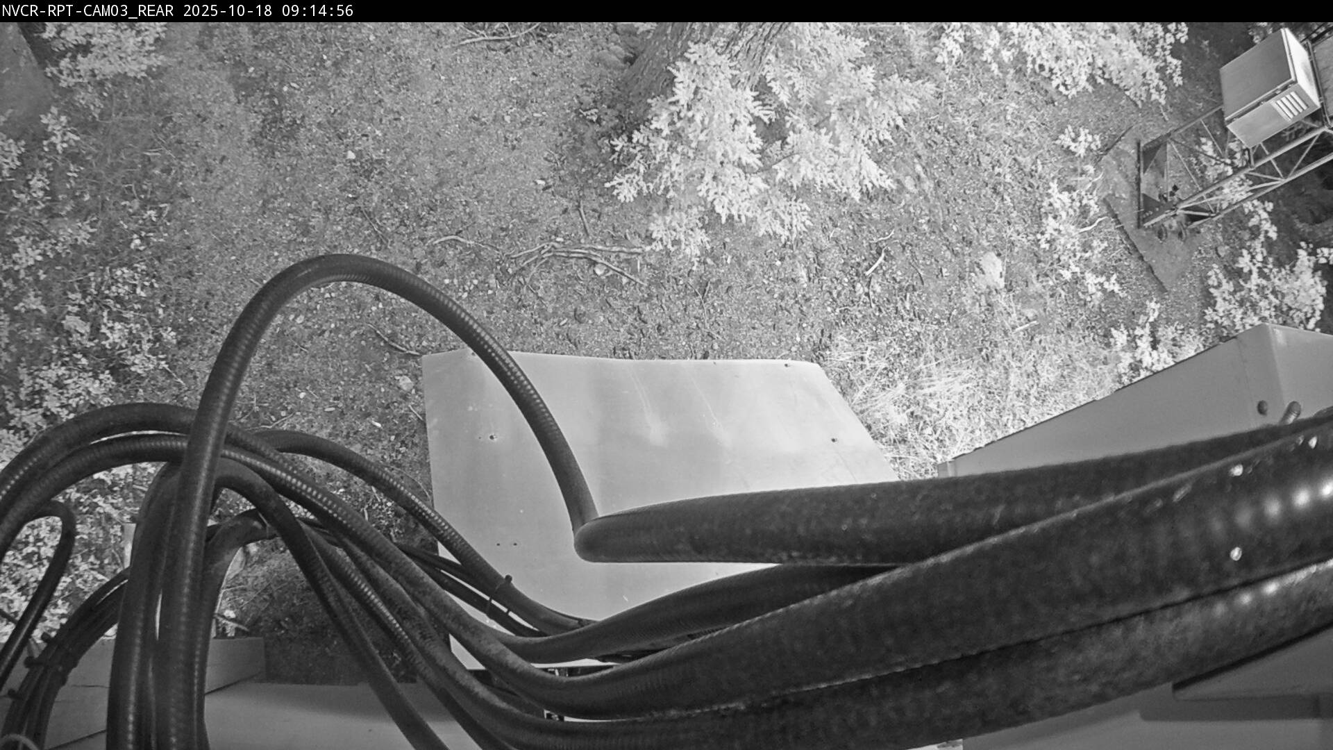 Web Cam History Image - 198