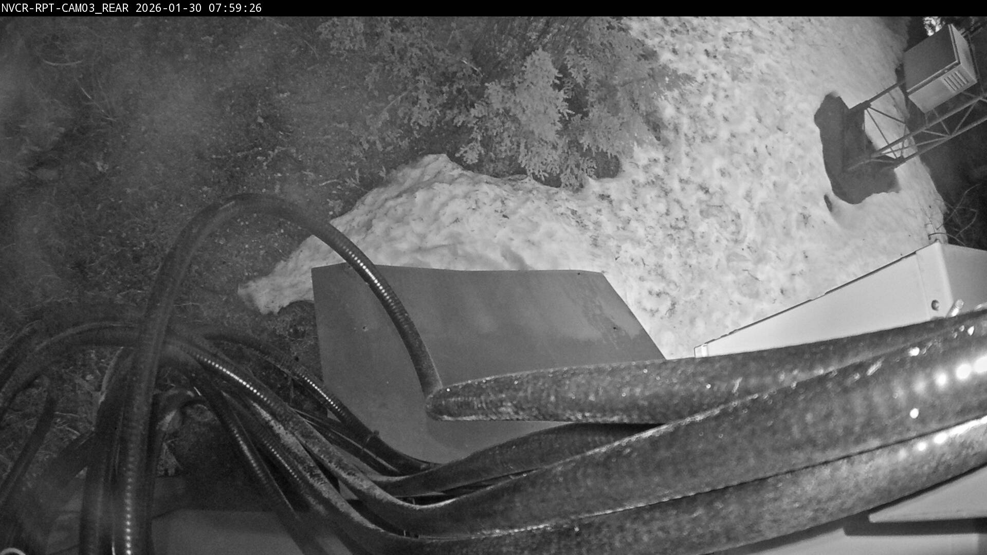 Web Cam History Image - 198