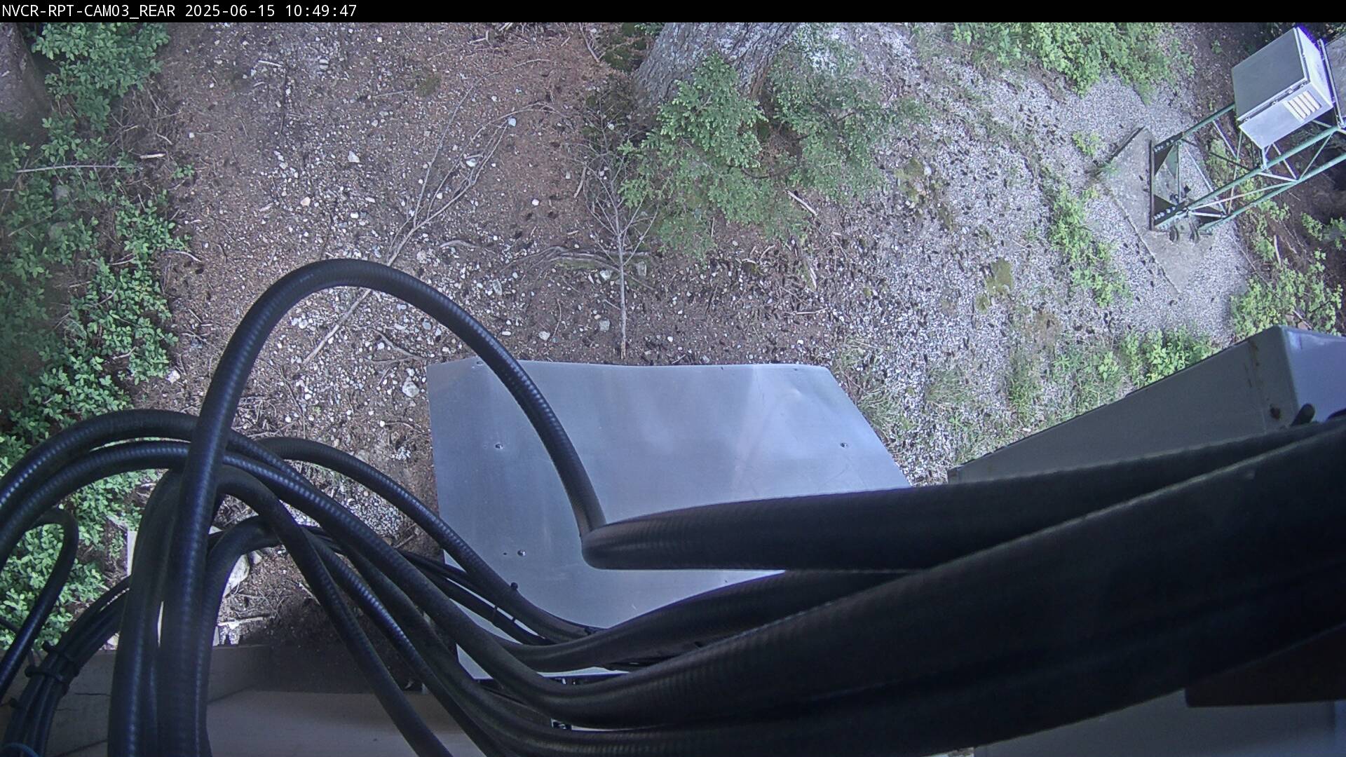 Web Cam History Image - 199