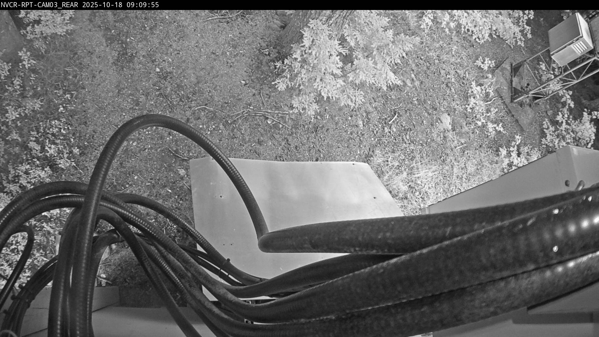Web Cam History Image - 199