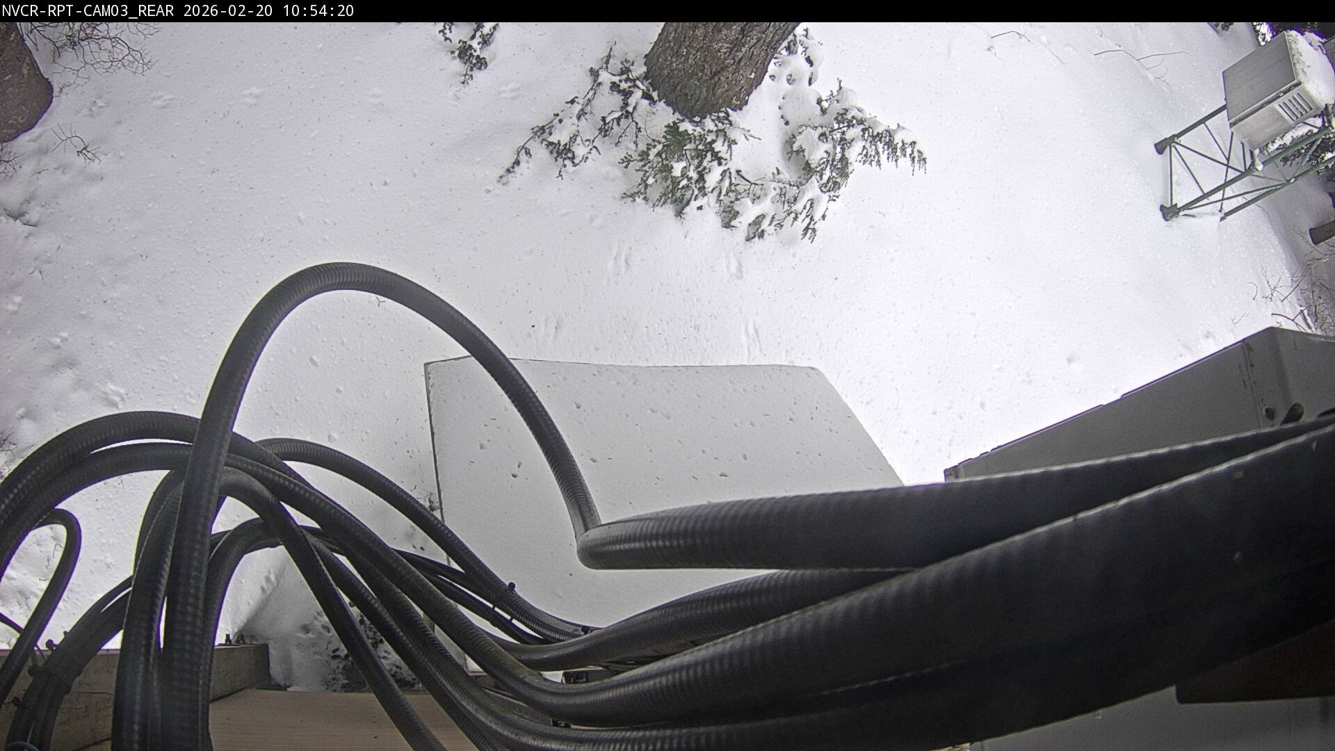 Web Cam History Image - 200