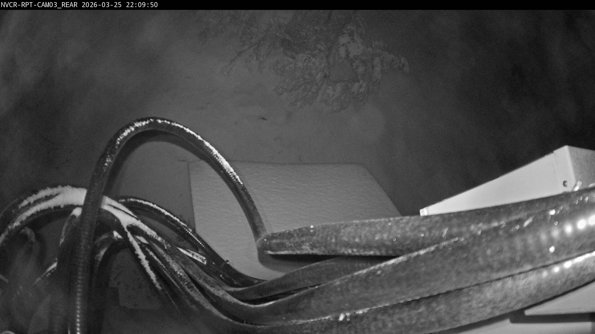 Web Cam History Image - 200