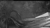 Web Cam Image - Wed, 06/03/2026 3:49am PDT