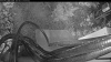Web Cam Image - Fri, 06/12/2026 3:14am PDT