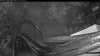 Web Cam Image - Sun, 06/14/2026 3:14am PDT