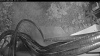 Web Cam Image - Wed, 08/12/2026 5:14am PDT